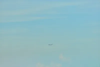 DSC_4045 (Large).JPG